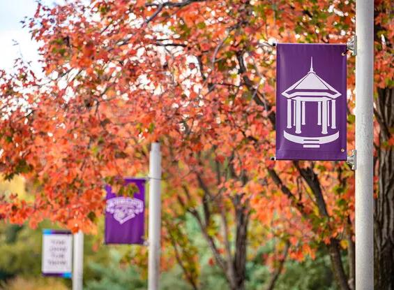 flags and fall colors